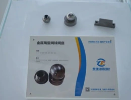 Bonnes nouvelles | Félicitations chaleureuses à Zhaoqiang Sealing Industry, une filiale exclusive de l'aimant en titane Zhaoqiang, pour avoir été présélectionnée pour la spécialisation, le raffinement, l'unicité, l'innovant ''Little Giant''!