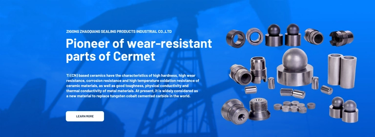 Pionnier des parties résistantes à l'usure de Cermet