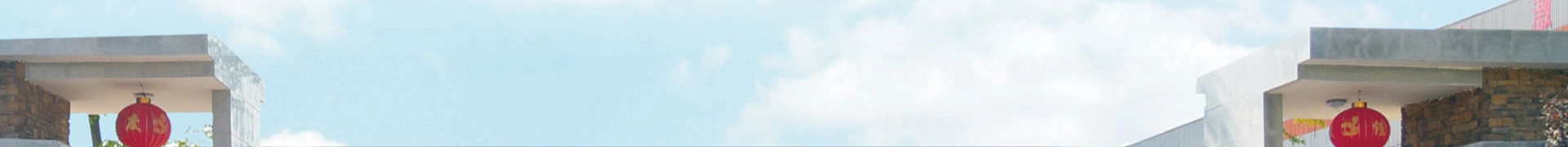 Sceaux mécaniques pour l'industrie chimique